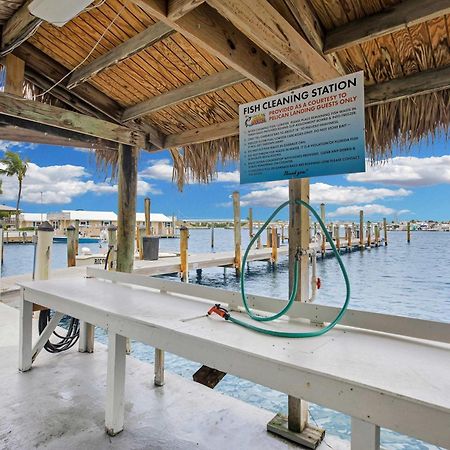 St Kitts - Downtown Waterfront Penthouse Pool Dock Parking Key West Exterior foto